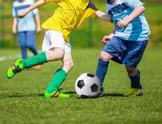 哈登败战后,高度评价坎,宁安,滚球购买平台,滚球平台官方网站,滚球平台,(集团)官方网站,十大滚球购买平台