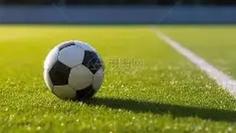 滚球购买平台 资讯 110756 jqq